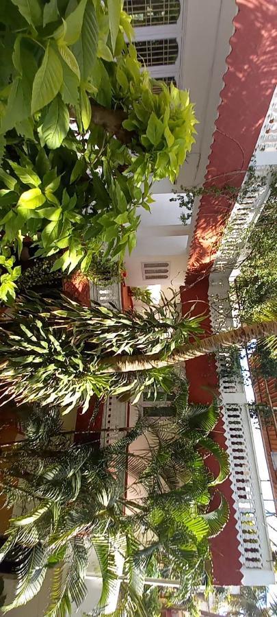Daphne Hotel Mahabalipuram Bagian luar foto
