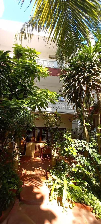 Daphne Hotel Mahabalipuram Bagian luar foto