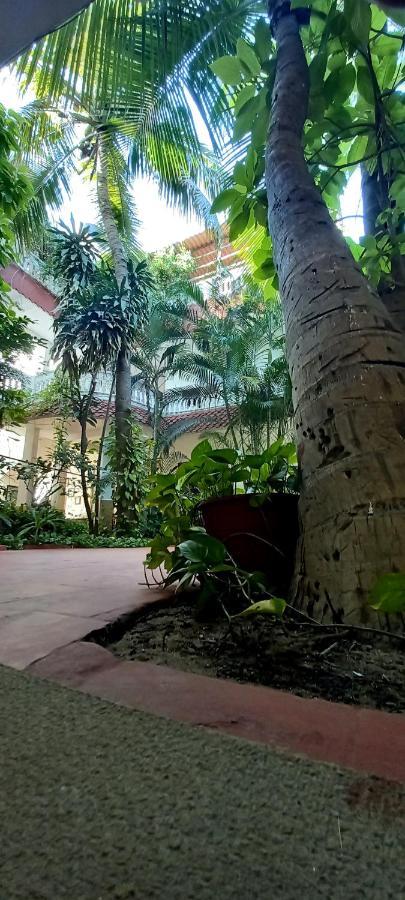 Daphne Hotel Mahabalipuram Bagian luar foto
